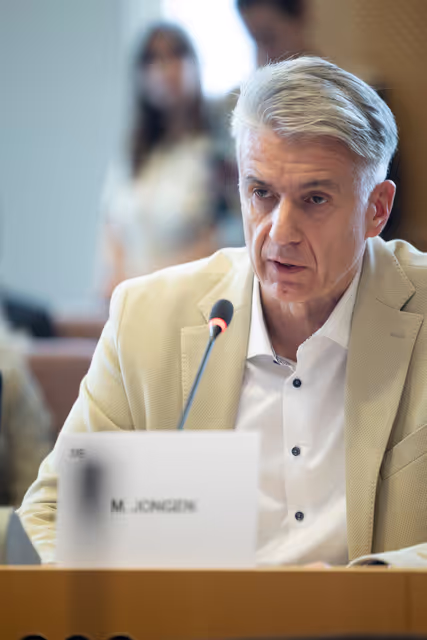 Fotografie 4: AFET DEVE - Public hearing on Global Gateway: Past impacts and future orientation