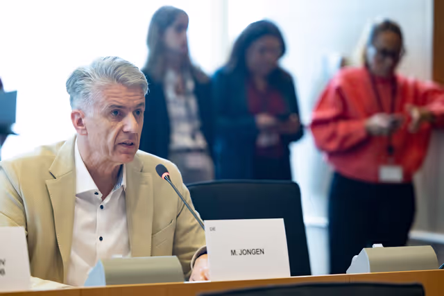 Fotografie 3: AFET DEVE - Public hearing on Global Gateway: Past impacts and future orientation