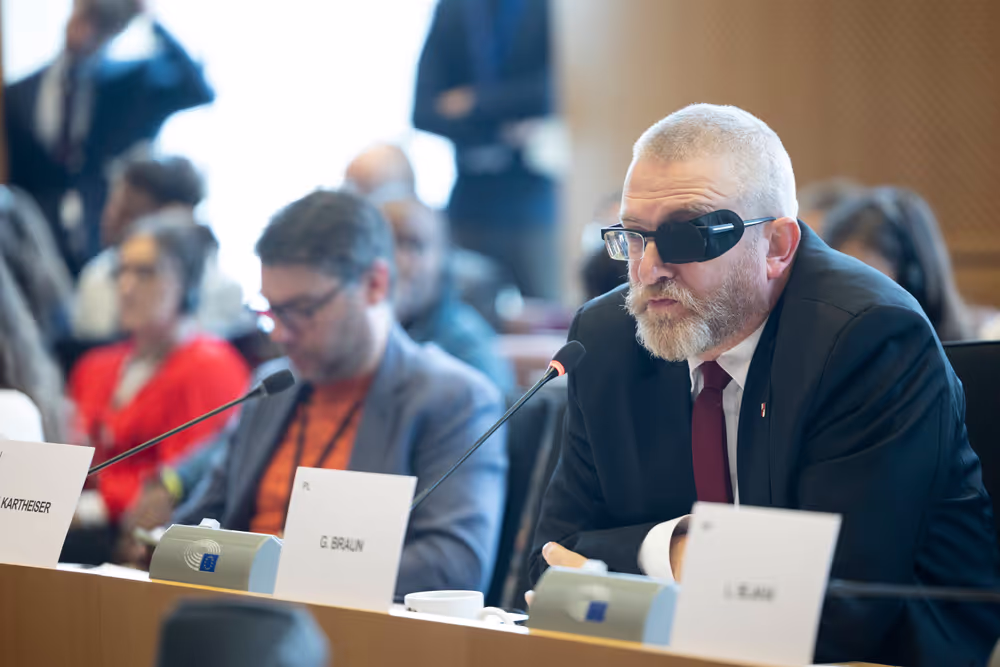 AFET DEVE - Public hearing on Global Gateway: Past impacts and future orientation