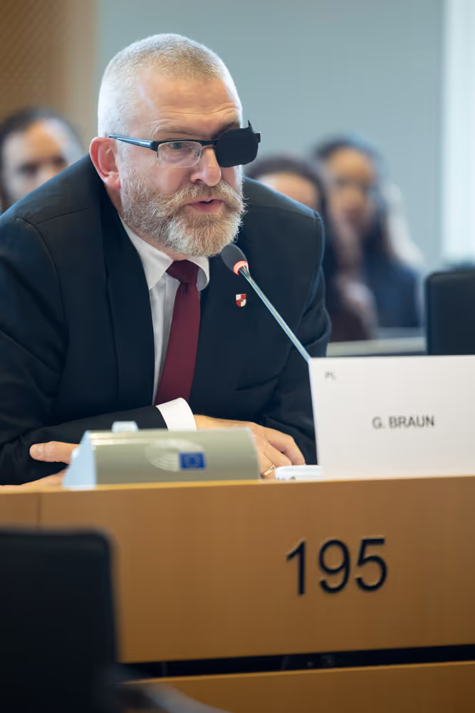 AFET DEVE - Public hearing on Global Gateway: Past impacts and future orientation