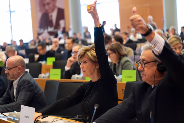 INTA ITRE Joint Committee meeting - Votes