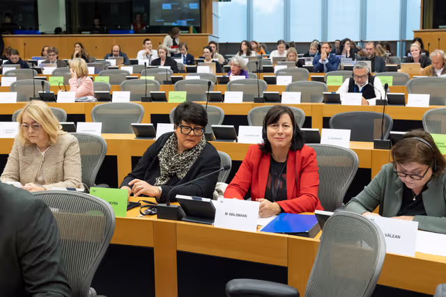Fotografi 22: IMCO - Vote on Protection of minors online