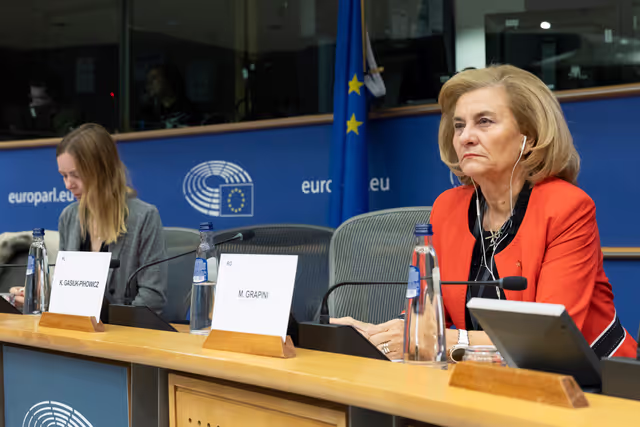 Fotografi 21: IMCO - Vote on Protection of minors online
