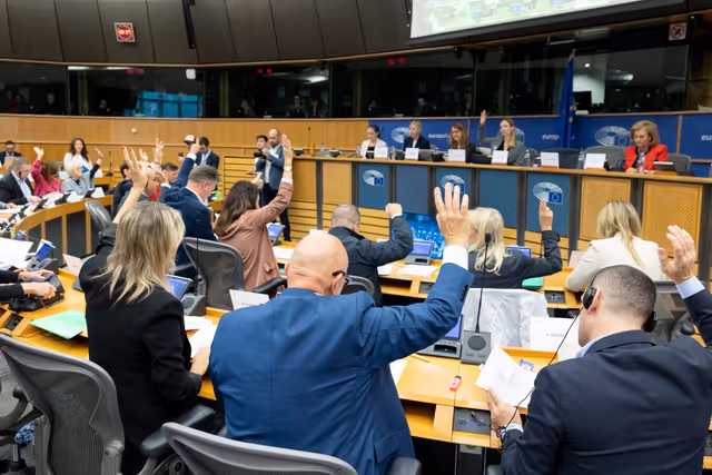 IMCO - Vote on Protection of minors online