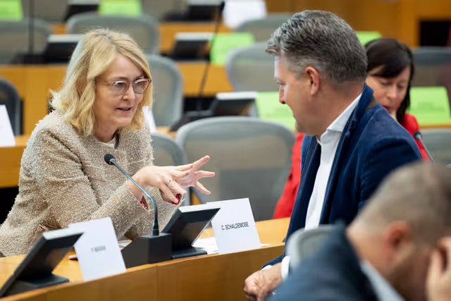 Fotografi 26: IMCO - Vote on Protection of minors online