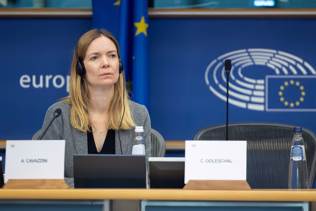 Fotografi 24: IMCO - Vote on Protection of minors online