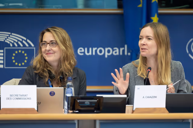 Fotografi 23: IMCO - Vote on Protection of minors online
