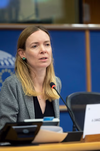 Fotografi 17: IMCO - Vote on Protection of minors online