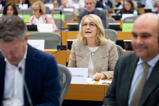 Fotografi 13: IMCO - Vote on Protection of minors online