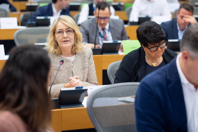 Fotografi 11: IMCO - Vote on Protection of minors online
