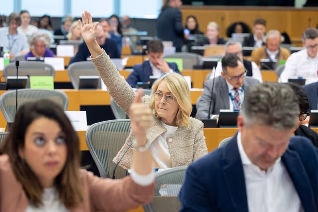 IMCO - Vote on Protection of minors online