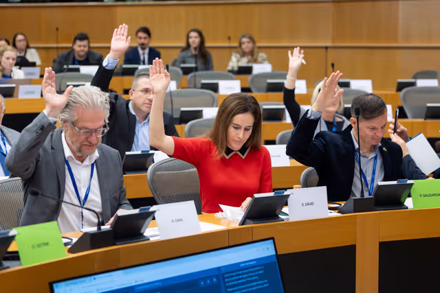 IMCO - Vote on Protection of minors online