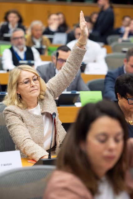 IMCO - Vote on Protection of minors online