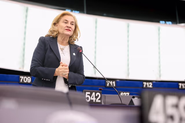 EP Plenary session - Chemicals