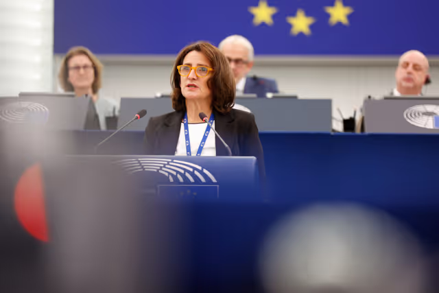 EP Plenary session - The decision to impose a fine on Google: defending press and media freedom in the EU