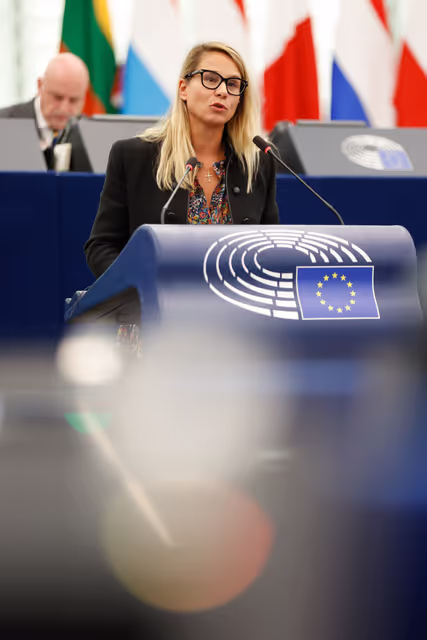 EP Plenary session - The decision to impose a fine on Google: defending press and media freedom in the EU