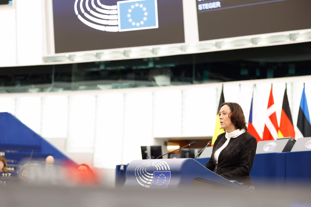 EP Plenary session - The decision to impose a fine on Google: defending press and media freedom in the EU