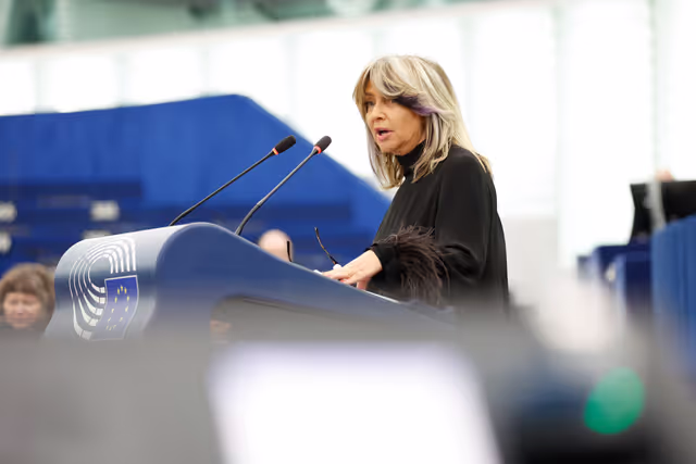 Nuotrauka 29: EP Plenary session - The decision to impose a fine on Google: defending press and media freedom in the EU