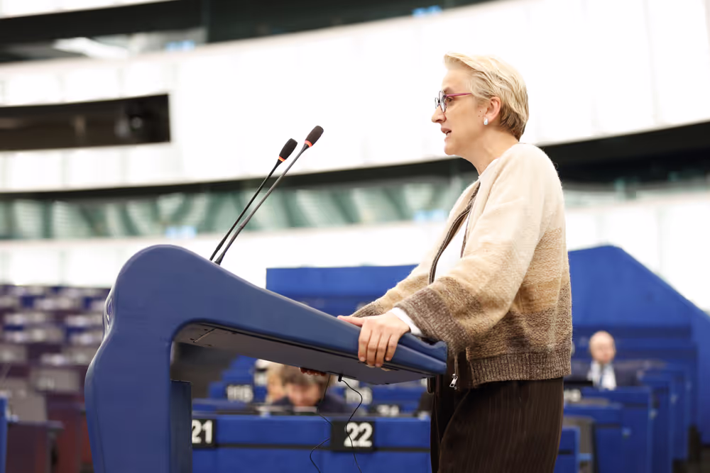 EP Plenary session - The decision to impose a fine on Google: defending press and media freedom in the EU