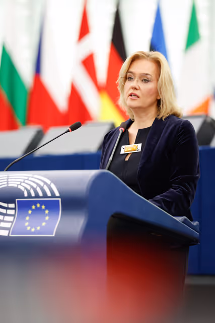 EP Plenary session - The decision to impose a fine on Google: defending press and media freedom in the EU