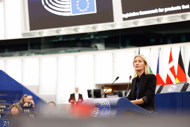 EP Plenary session - The decision to impose a fine on Google: defending press and media freedom in the EU