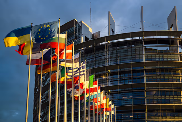 Flags of the country members of the European Union are raised at the EP headquarters in Strasbourg