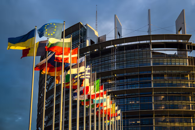 Flags of the country members of the European Union are raised at the EP headquarters in Strasbourg