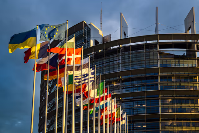 Flags of the country members of the European Union are raised at the EP headquarters in Strasbourg