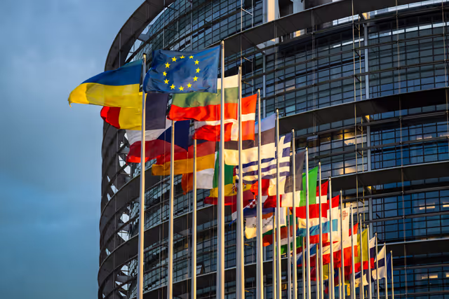 Flags of the country members of the European Union are raised at the EP headquarters in Strasbourg