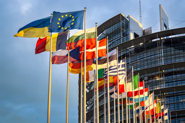 Flags of the country members of the European Union are raised at the EP headquarters in Strasbourg