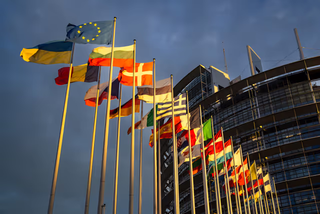 Flags of the country members of the European Union are raised at the EP headquarters in Strasbourg