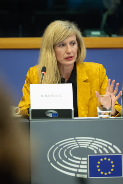 Foto 43: The Daphne Caruana Galizia Prize for journalism press seminar ' Silencing journalists' voices around the world '