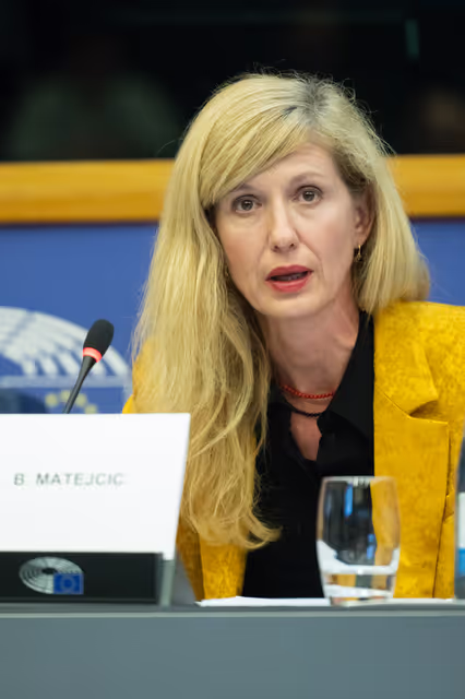 Foto 42: The Daphne Caruana Galizia Prize for journalism press seminar ' Silencing journalists' voices around the world '