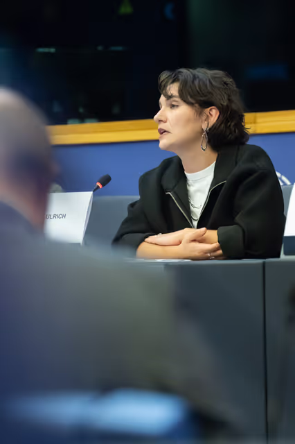 Foto 36: The Daphne Caruana Galizia Prize for journalism press seminar ' Silencing journalists' voices around the world '