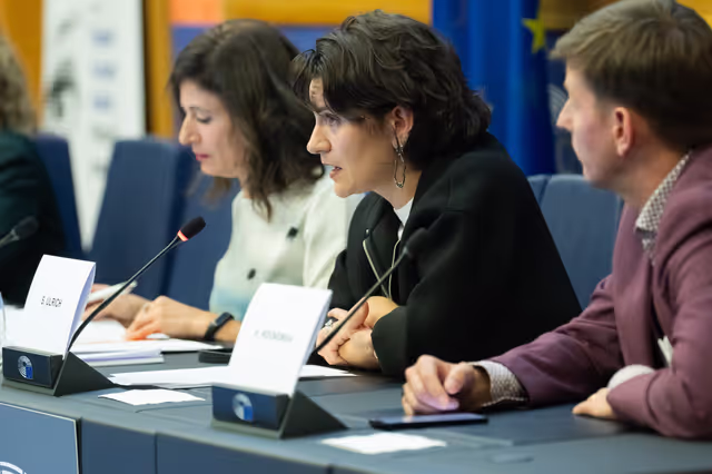 Foto 37: The Daphne Caruana Galizia Prize for journalism press seminar ' Silencing journalists' voices around the world '