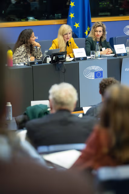 Foto 21: The Daphne Caruana Galizia Prize for journalism press seminar ' Silencing journalists' voices around the world '