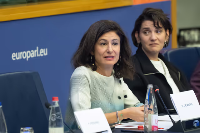 Foto 20: The Daphne Caruana Galizia Prize for journalism press seminar ' Silencing journalists' voices around the world '