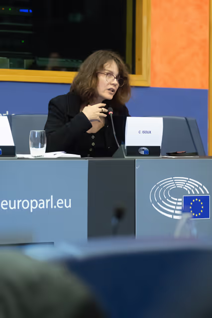 Foto 11: The Daphne Caruana Galizia Prize for journalism press seminar ' Silencing journalists' voices around the world '