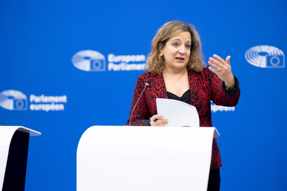 Press briefing S&D Group