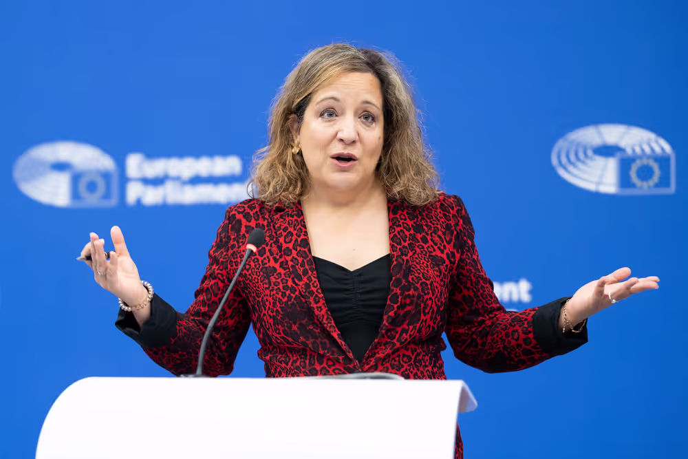 Press briefing S&D Group