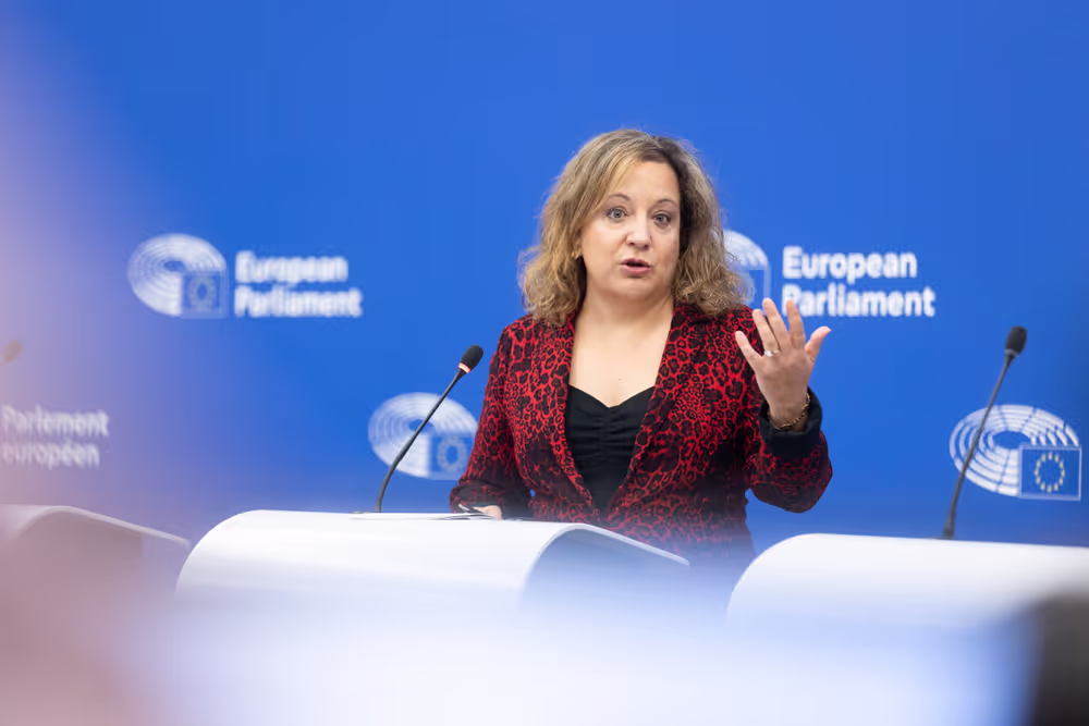 Press briefing S&D Group