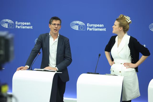 Press briefing Greens/EFA