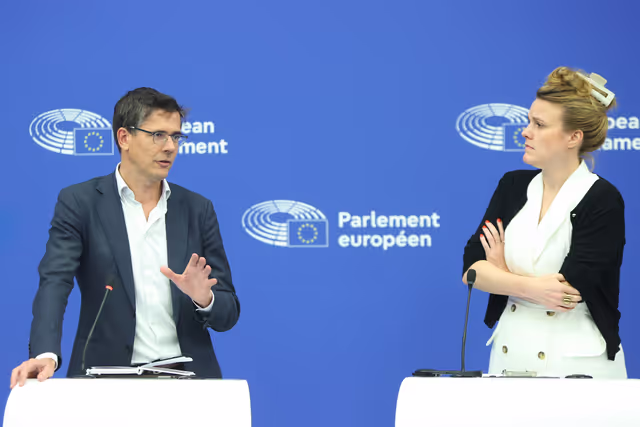 Press briefing Greens/EFA