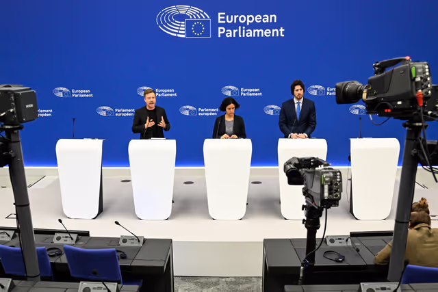 Press briefing The Left