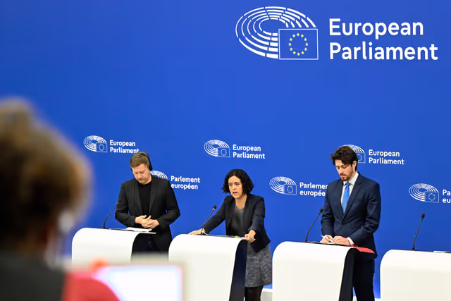 Press briefing The Left