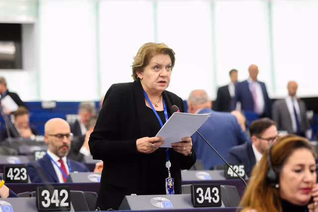 EP Plenary session - Changing security landscape and the role of police at the heart of the EU’s internal security strategy