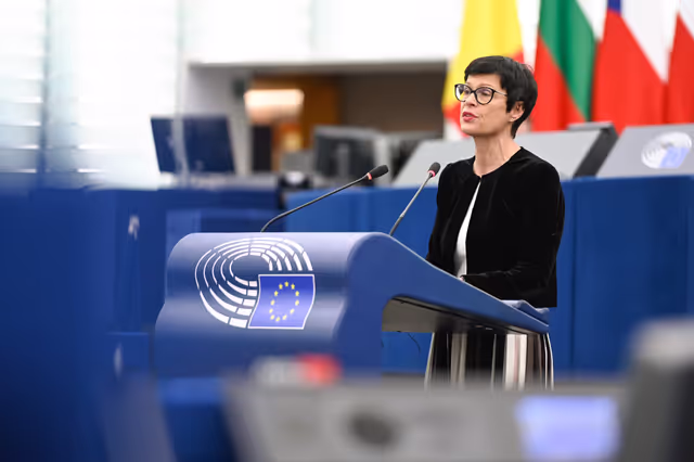 EP Plenary session - Polarisation and increased repression in Serbia, one year after the Novi Sad tragedy