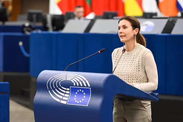 EP Plenary session - Polarisation and increased repression in Serbia, one year after the Novi Sad tragedy