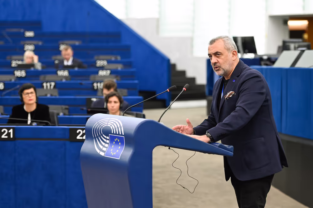 EP Plenary session - Polarisation and increased repression in Serbia, one year after the Novi Sad tragedy