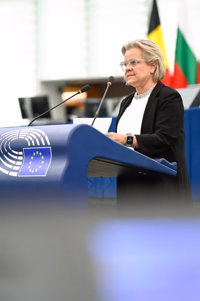 EP Plenary session - Polarisation and increased repression in Serbia, one year after the Novi Sad tragedy